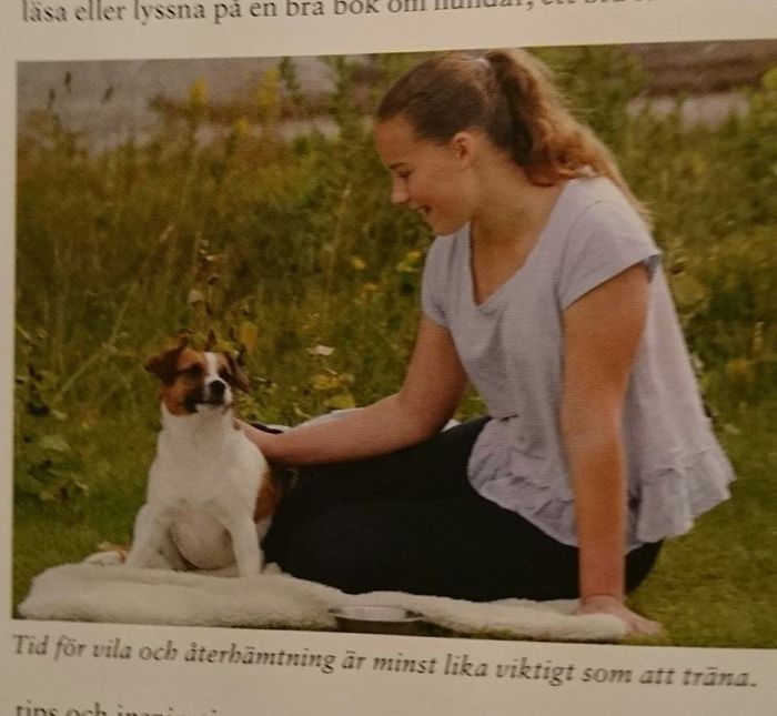 Roligt Hanna och Bella poserar i tidningen Brukshunden