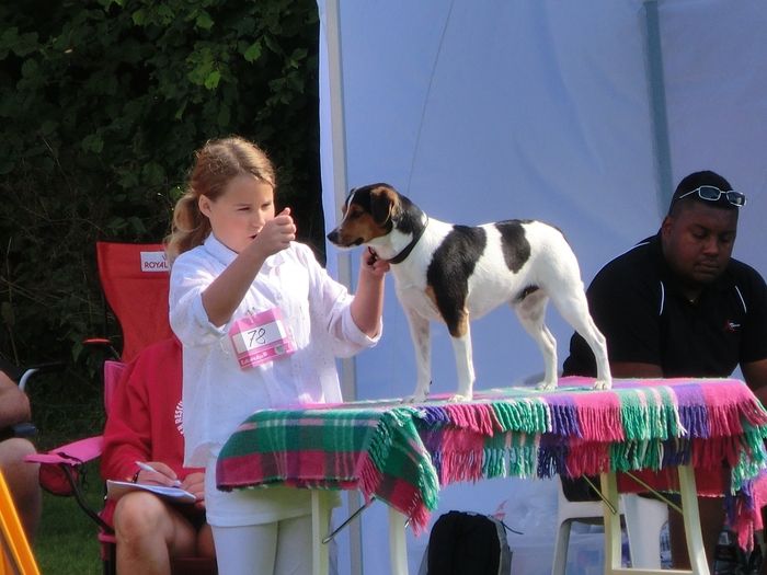 Tollarp Rasklubbsutställning 2012 och vinst i barn med hund